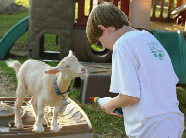 Portable Goat Shed Plans PDF riding lawn mower shed plans