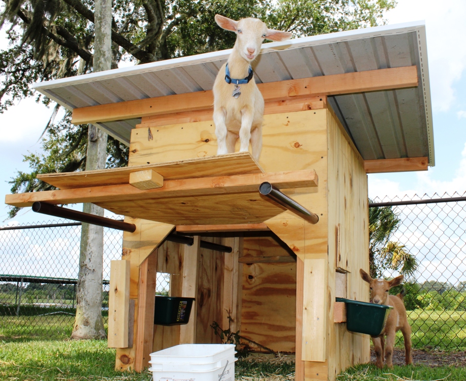 My Project: Barn plans for goats